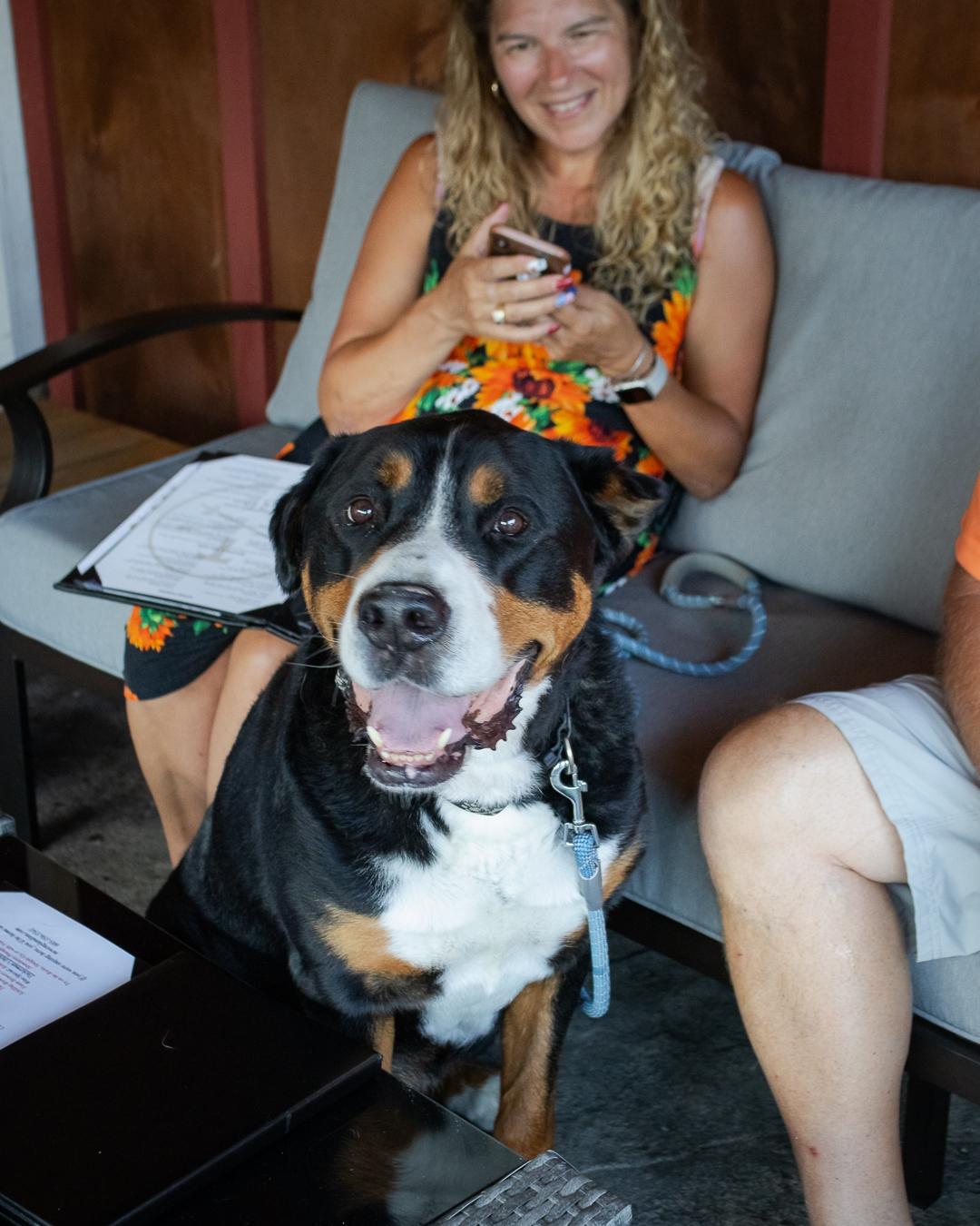 Tucks Summer Outside 9